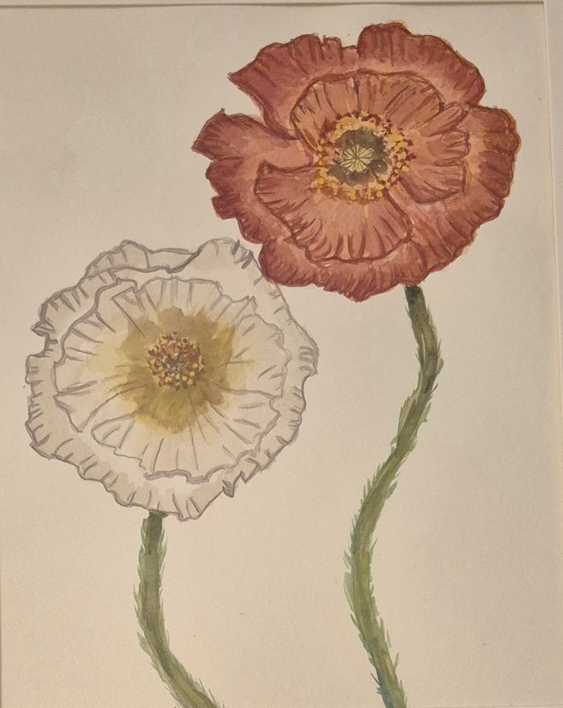 Hand Painted Watercolors