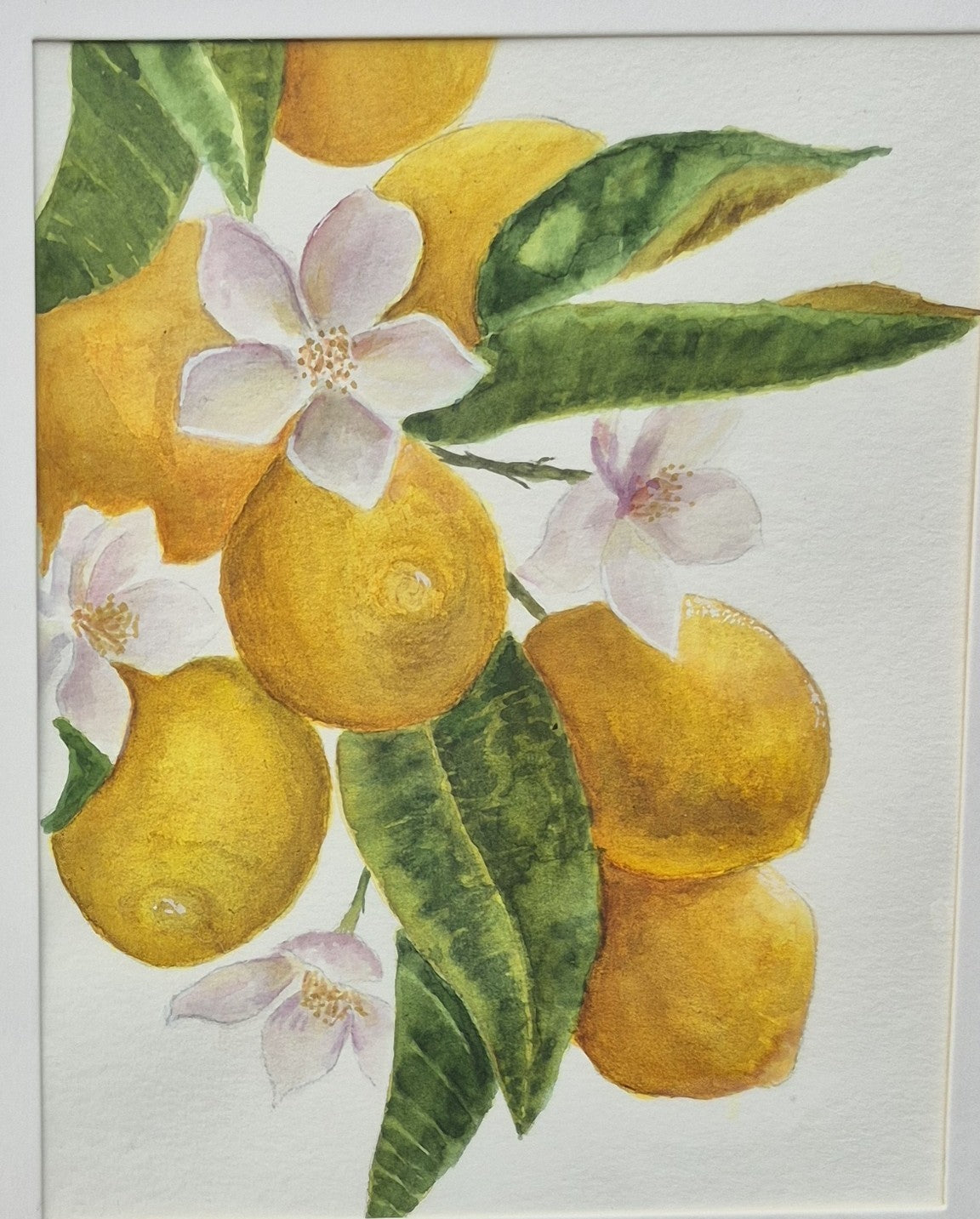 Hand Painted Watercolors