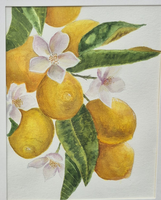 Hand Painted Watercolors