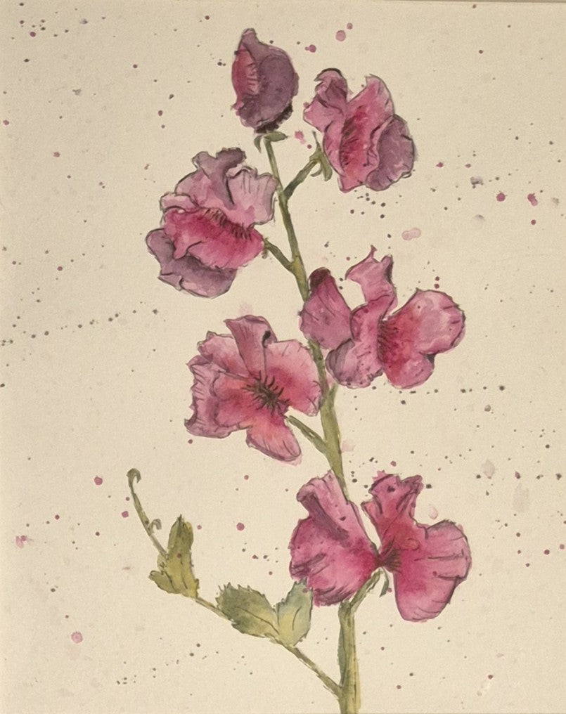 Hand Painted Watercolors
