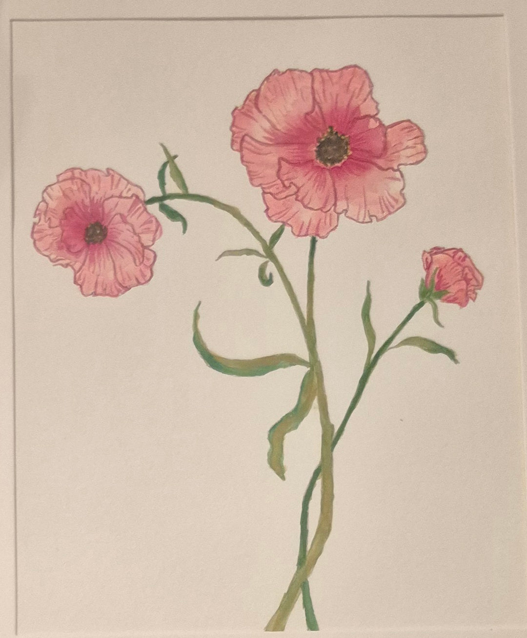 Hand Painted Watercolors