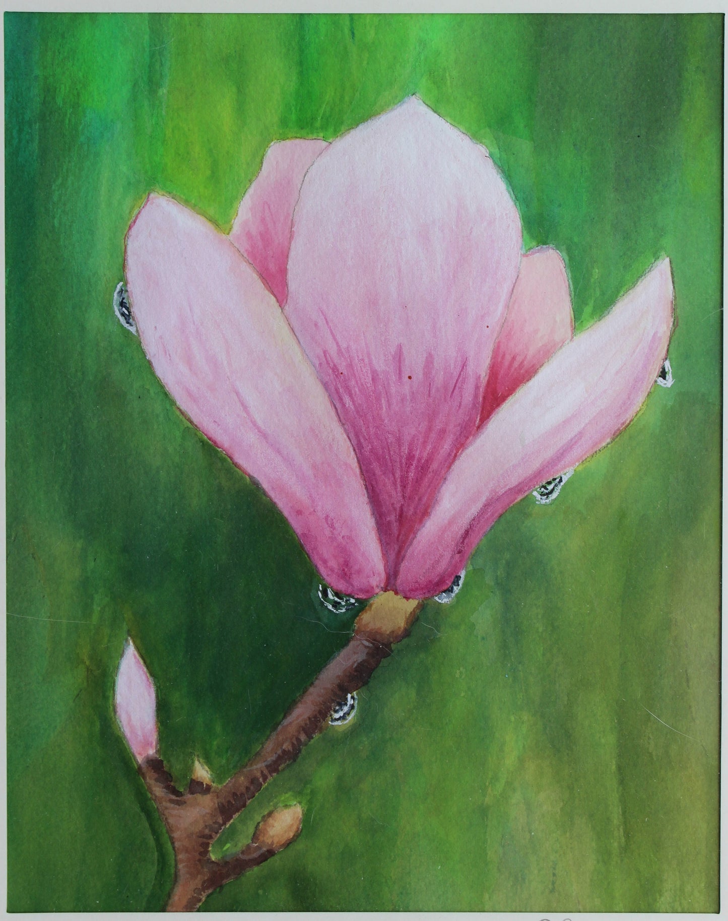 Hand Painted Watercolors