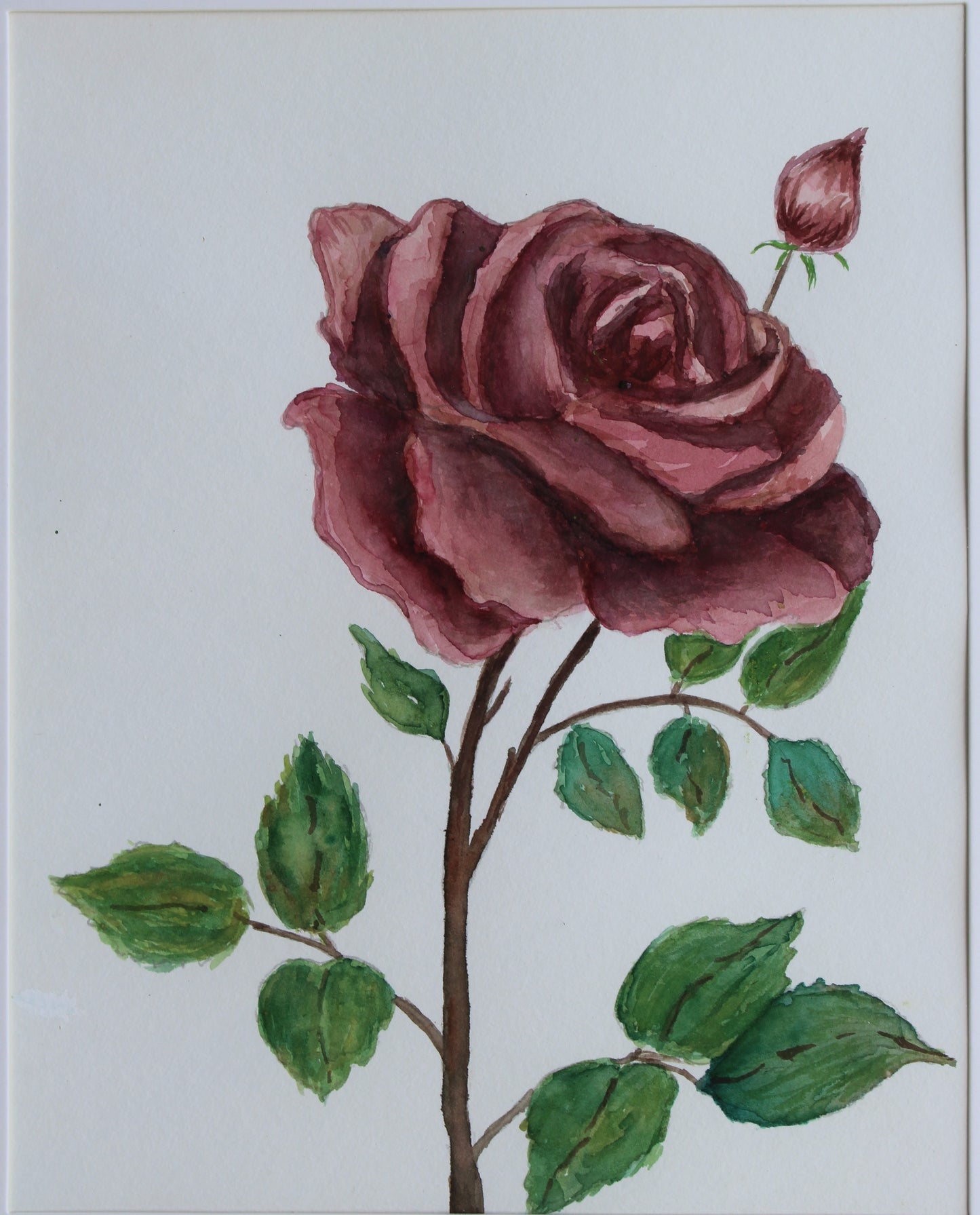 Hand Painted Watercolors