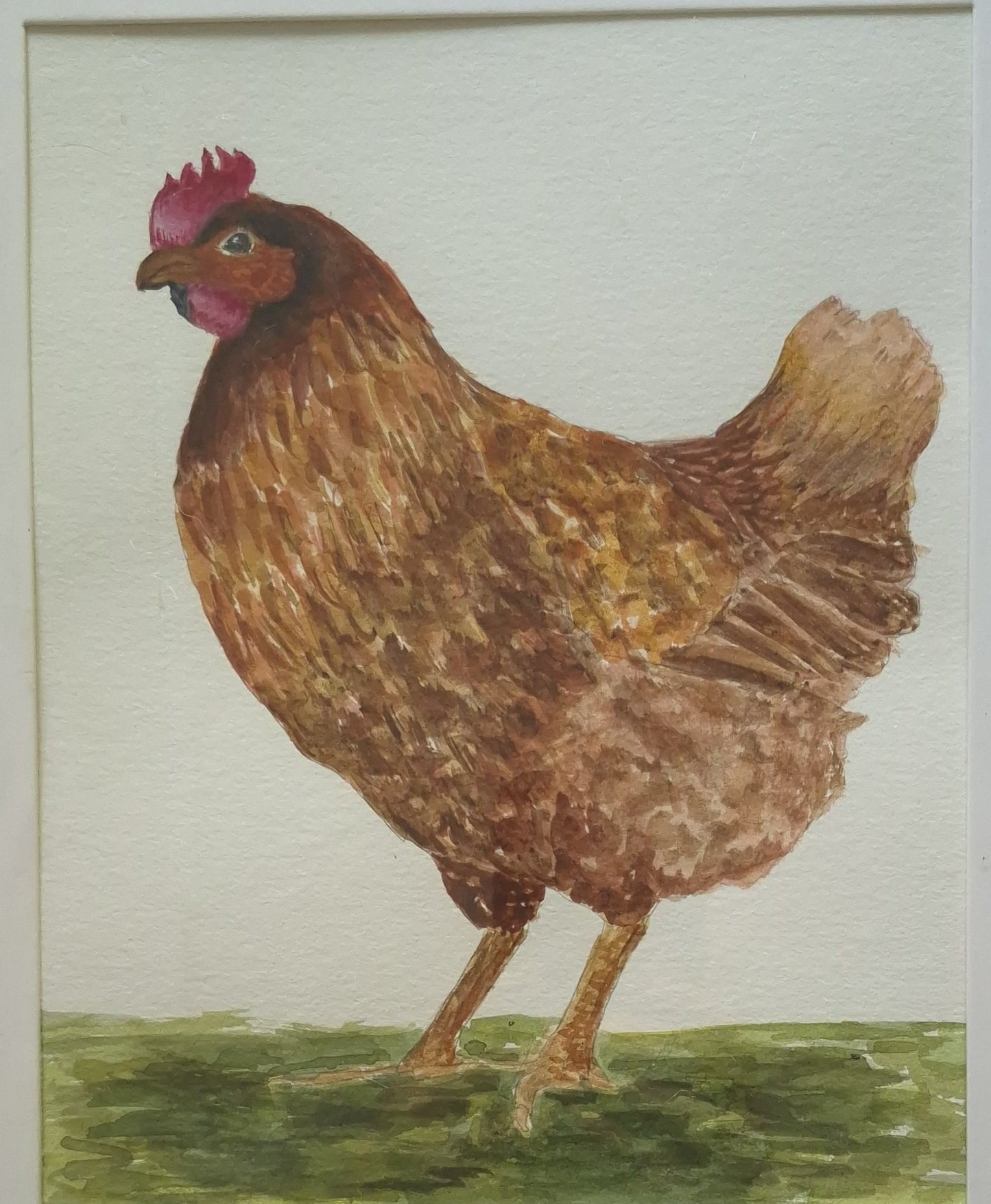 Hand Painted Watercolors