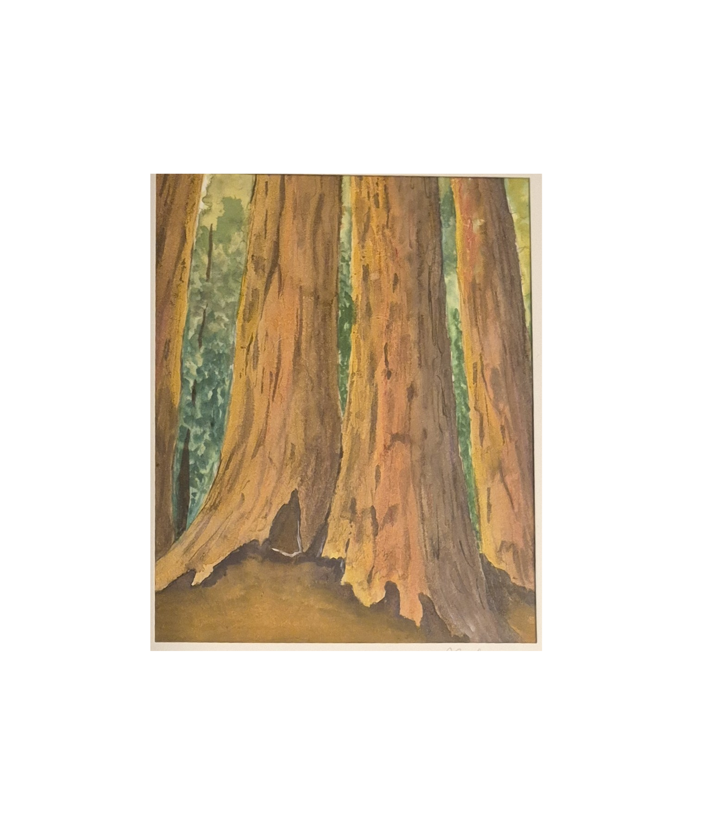 Hand Painted Watercolors
